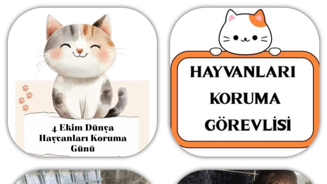 ANA SINIFI ÖĞRENCİLERİ MİNİK DOSTLARINI SEVİNDİRDİ!